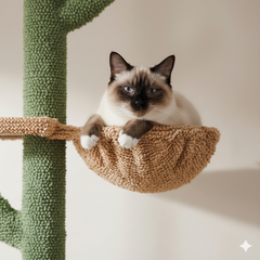 Cactus Climb Tower