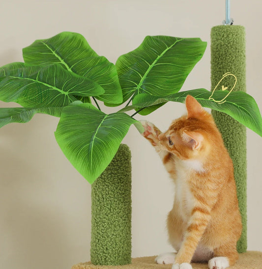 Designing a Cat-Friendly Home: How to Create a Calm, Functional Space for Your Cats