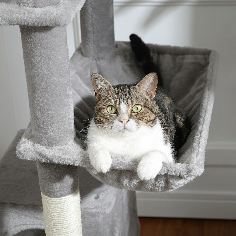 Cat sitting in a hammock on a cat tree
