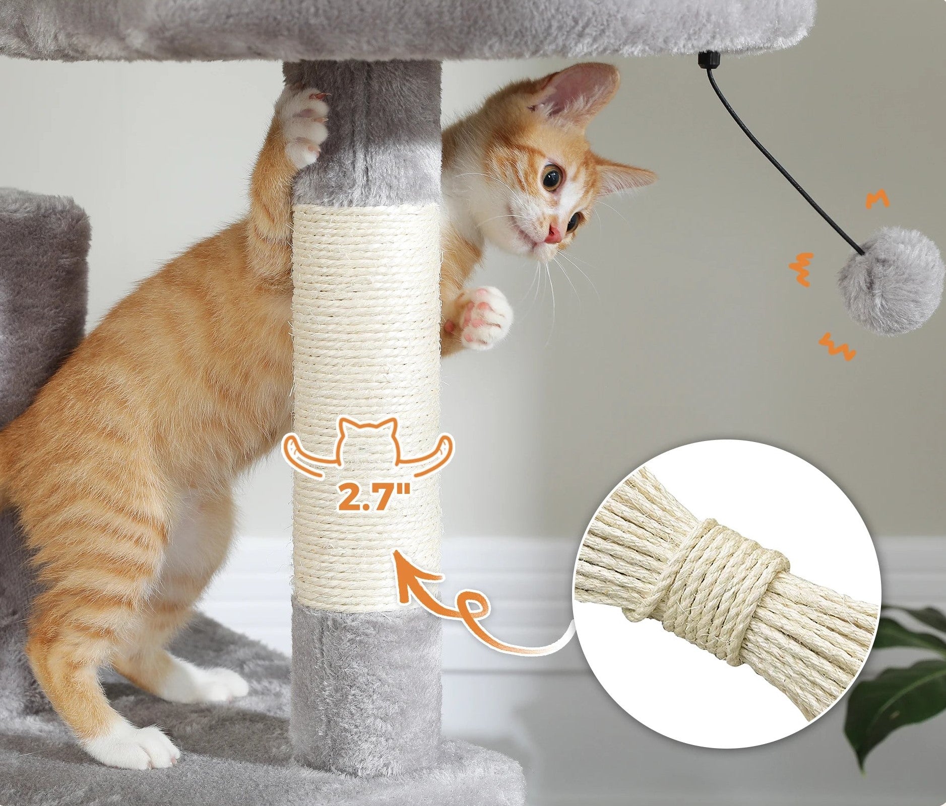 Cat playing with a scratching post and toy, with close-up details of the post and toy.