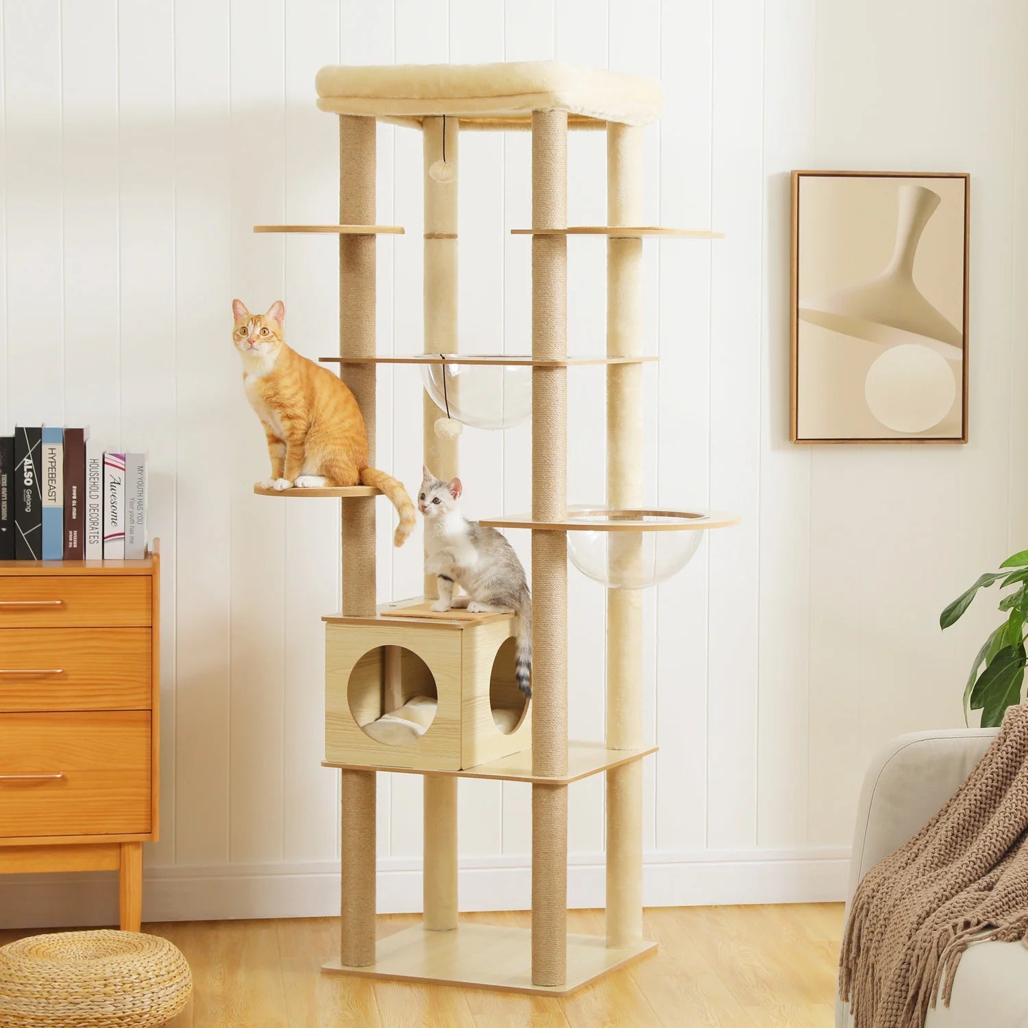 Cat tree with two cats in a room with a dresser and plant