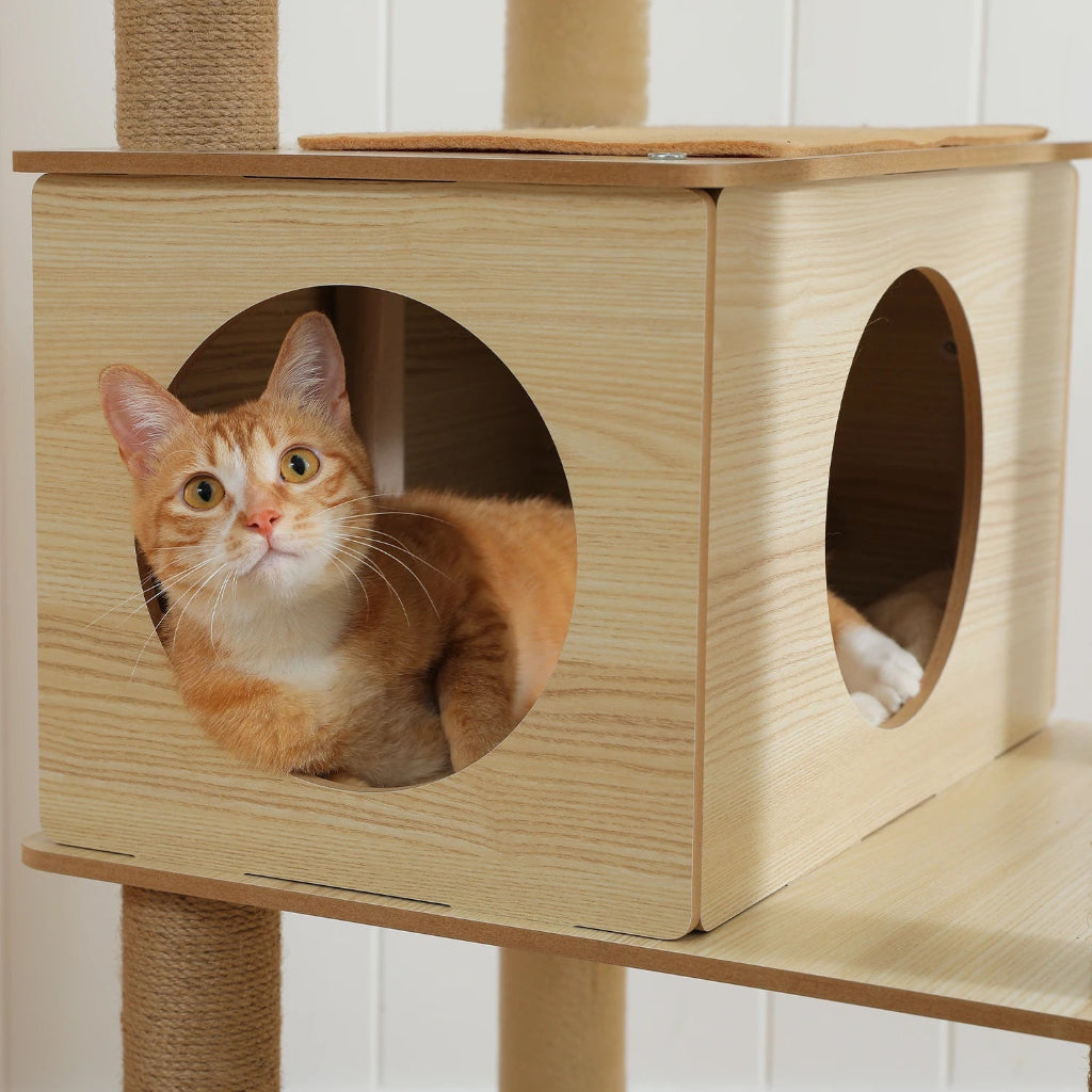 Cat sitting inside a wooden cat tree with another cat peeking out.
