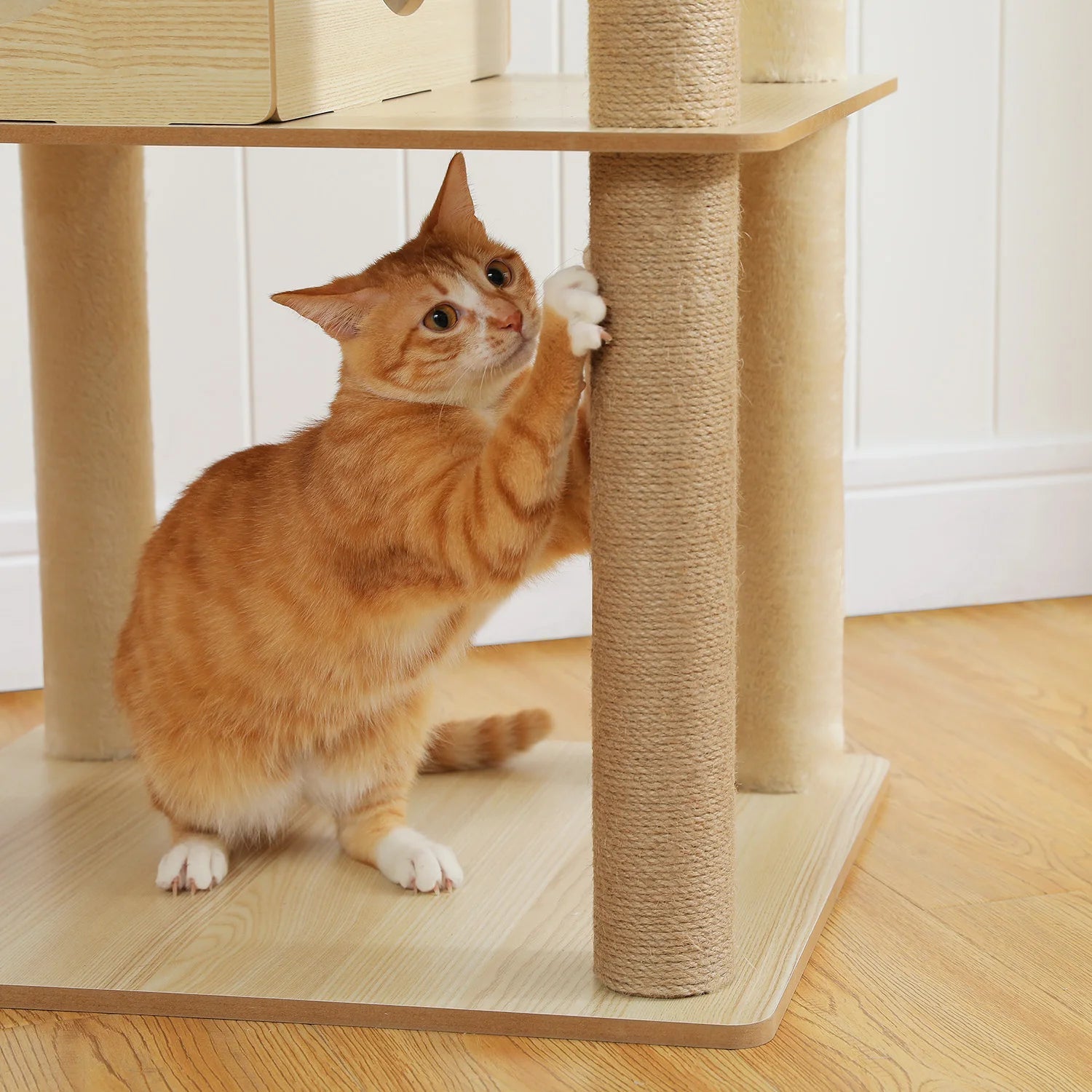 Orange cat climbing a wooden cat tree with sisal-covered posts.