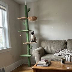 Cactus Climb Tower