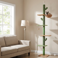 Cactus Climb Tower