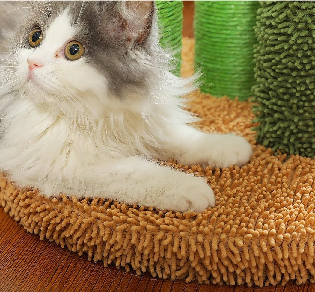 Cat lying on a textured brown surface with green climbing toy in the background