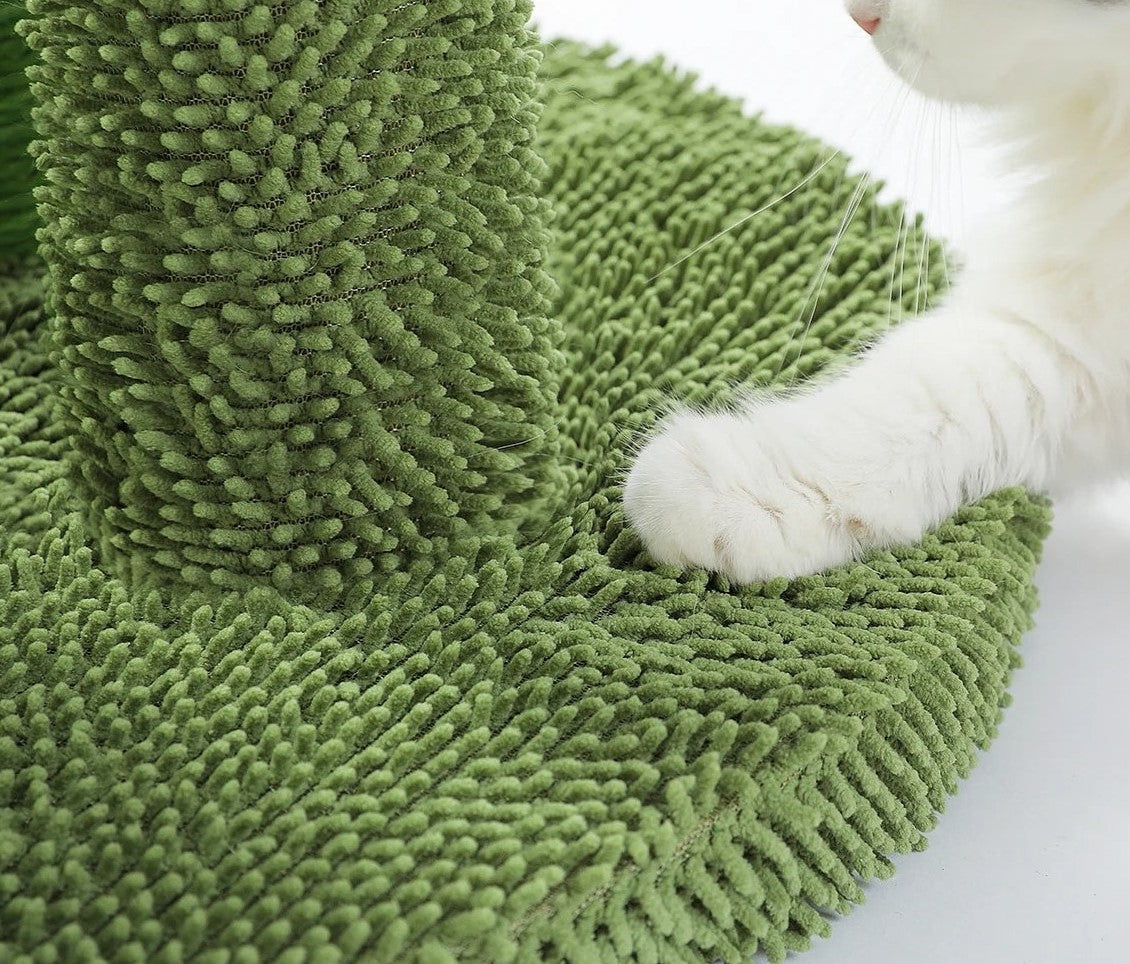 Green textured rug with a cat's paw on a white background